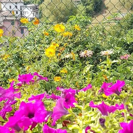 Isa 's House , A Terrace In Apartment